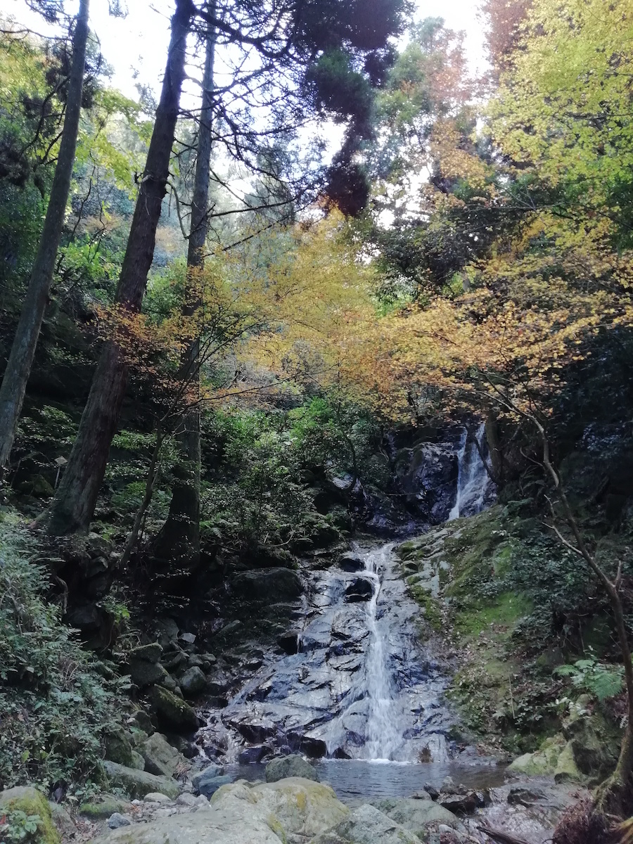 雷山 清賀の滝