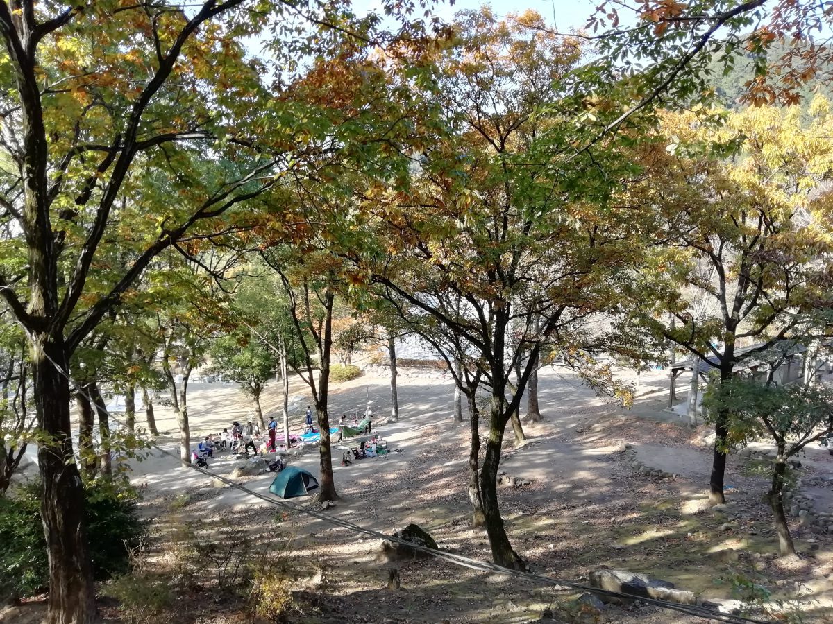 昭和の森キャンプ場 バーベキュー
